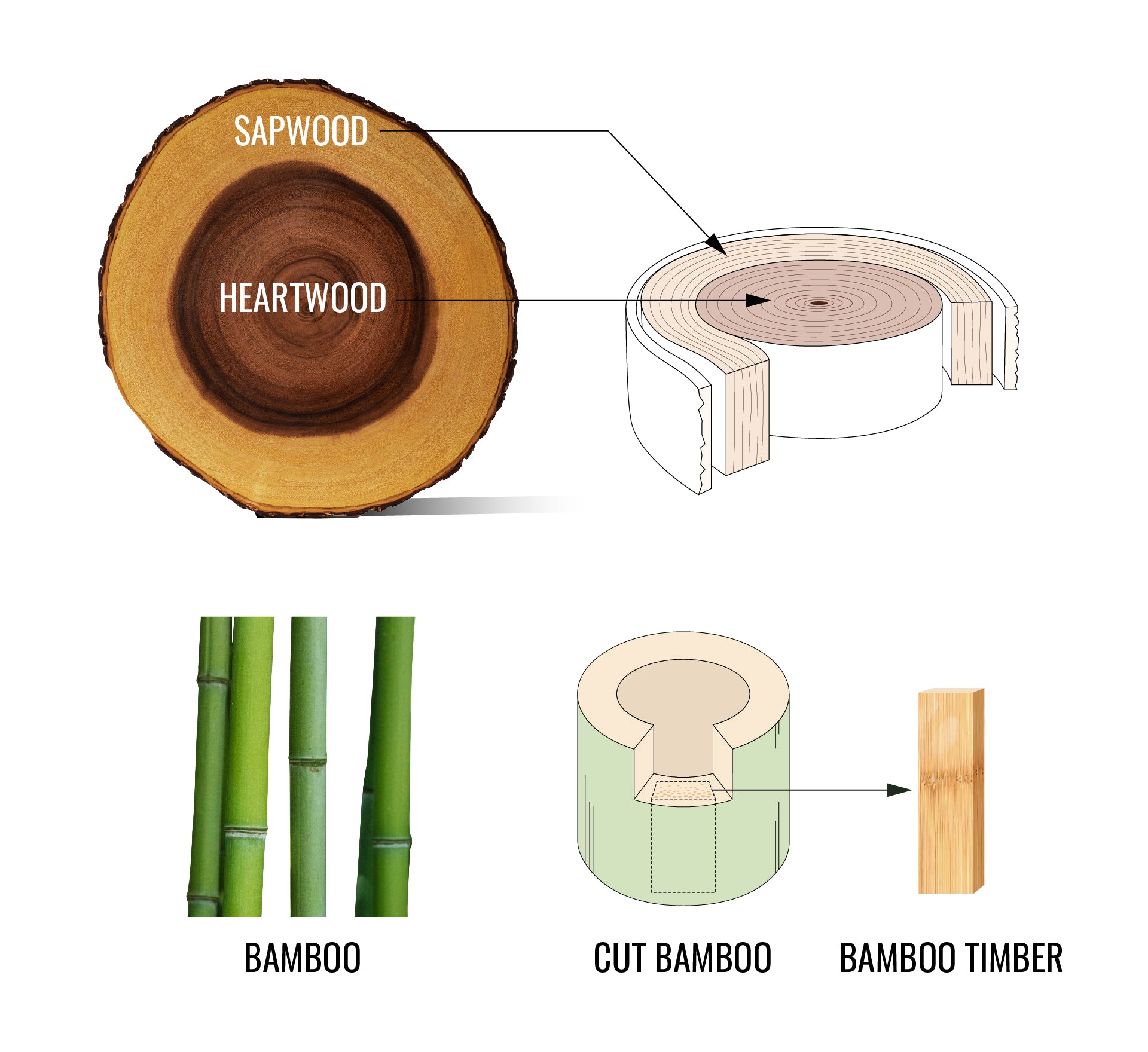 CDH_Wood_Illustration_1 - CookDineHost