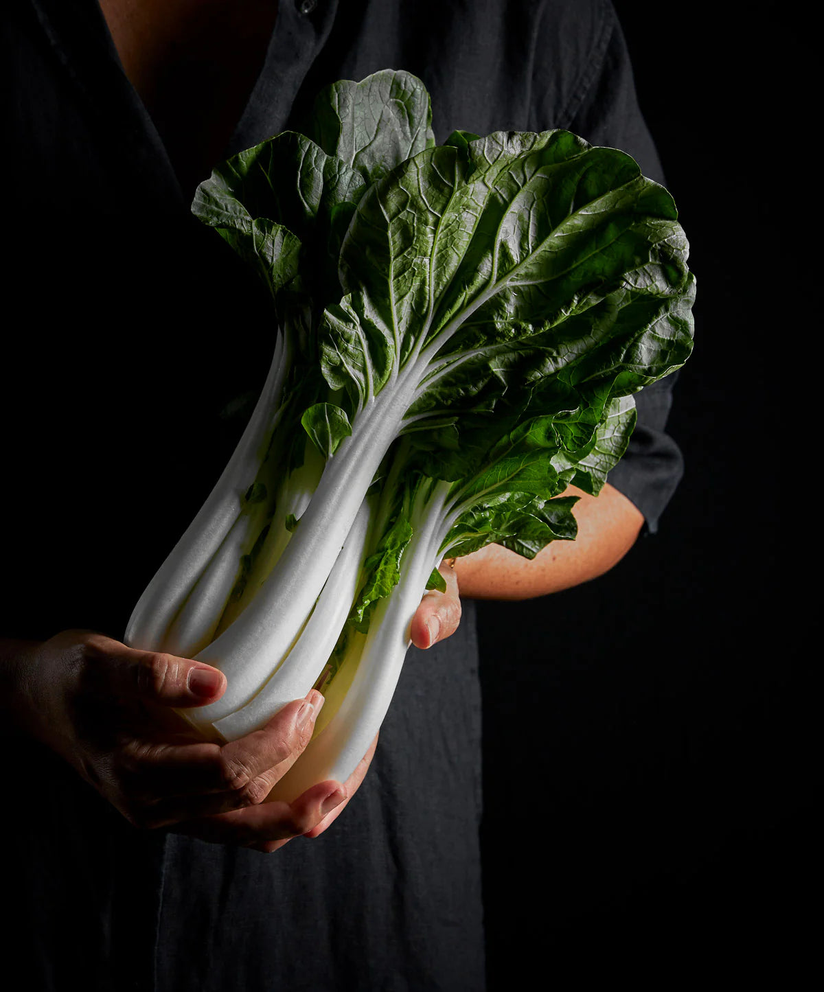 cdh-mako-Pak-Choy-Incidental - CookDineHost