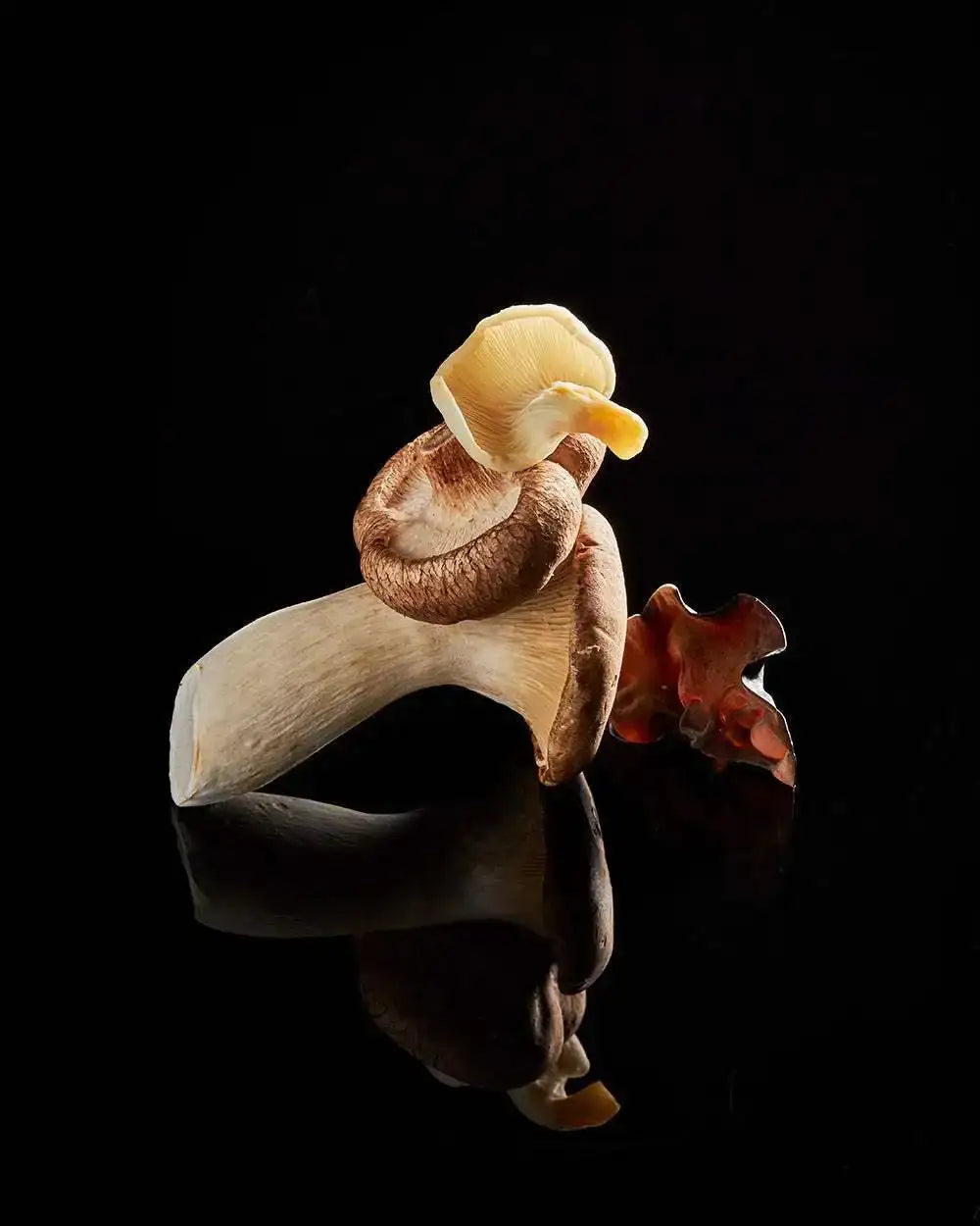 Close-up of various gourmet mushrooms on reflective black surface, highlighting texture and shapes