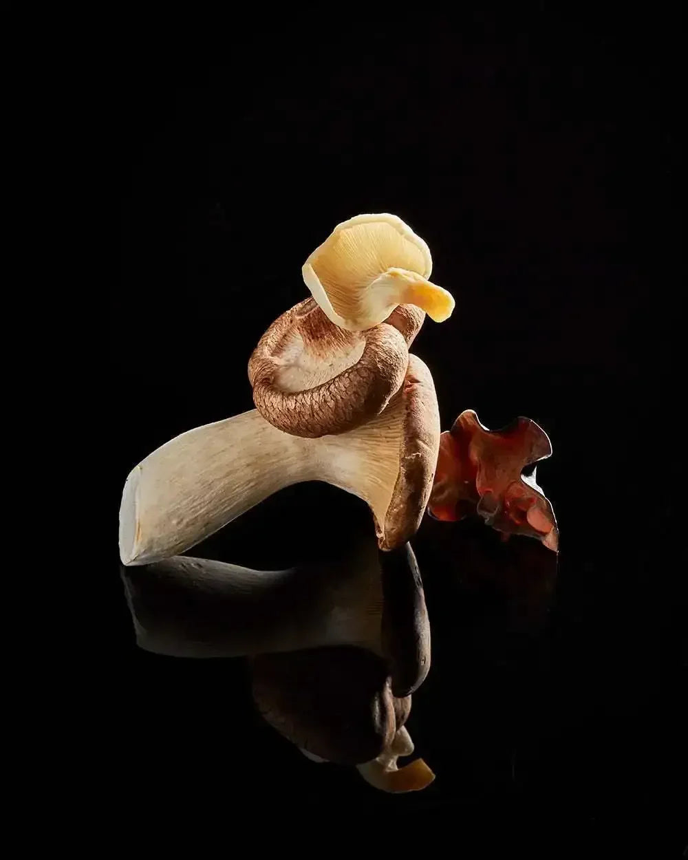 Assorted gourmet mushrooms on black reflective surface, close-up food photography