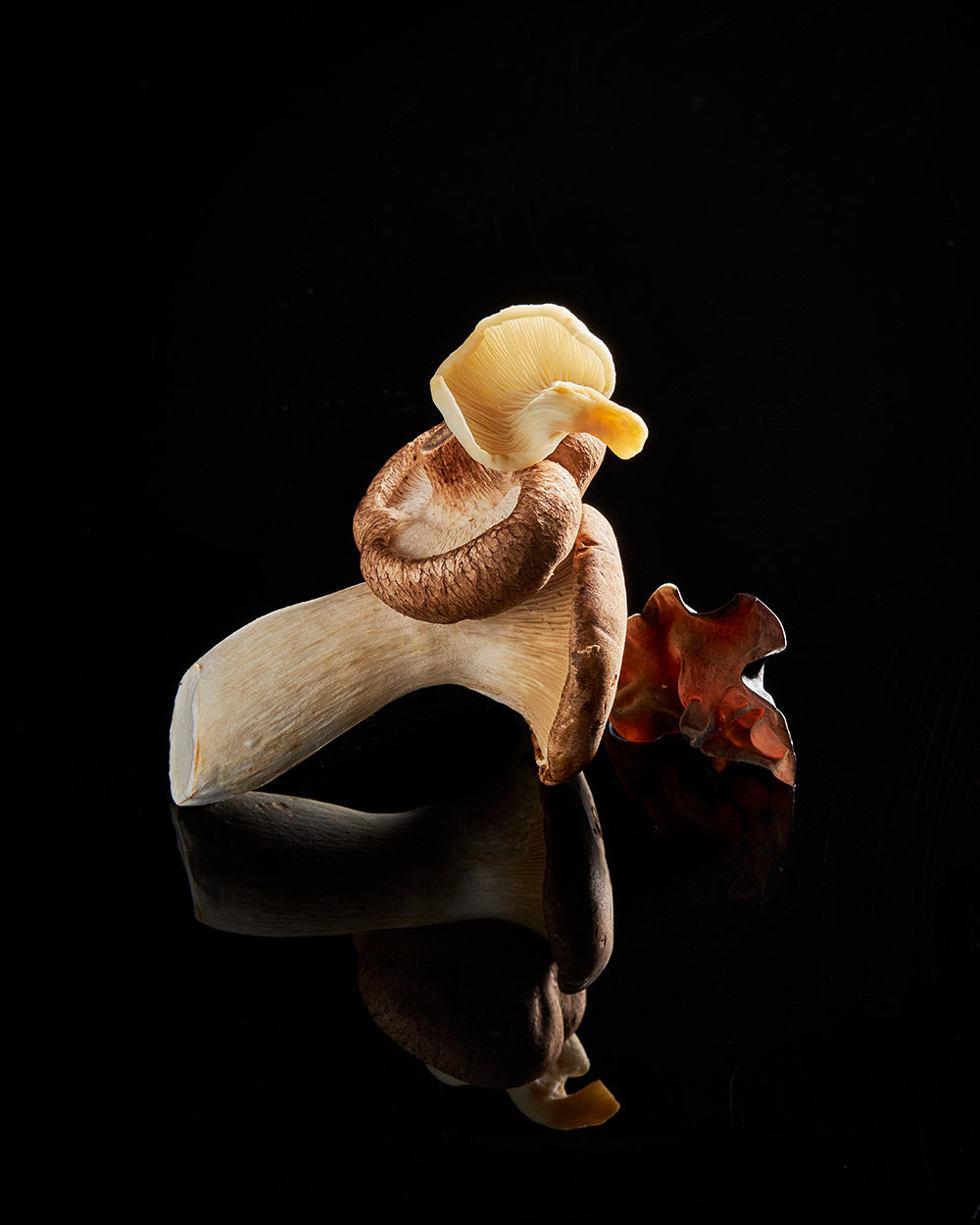 Assorted gourmet mushrooms on black reflective surface, close-up food photography