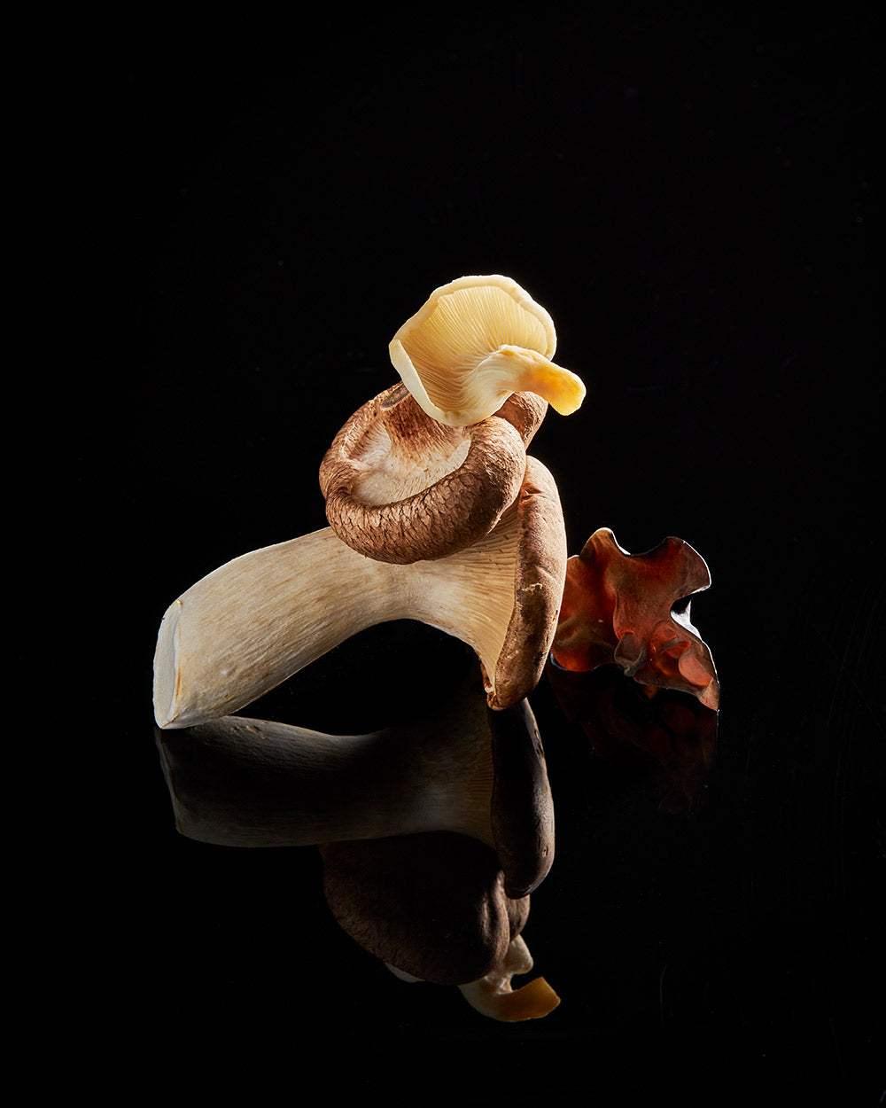 Wok Companion 2-book Bundle Cookbooks by Marion Grasby - only available at CookDineHost